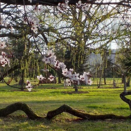 Domaine Berenguer Acomodação com café da manhã Ouches Exterior foto