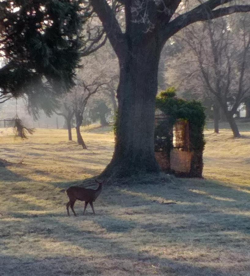 Domaine Berenguer Acomodação com café da manhã Ouches Exterior foto