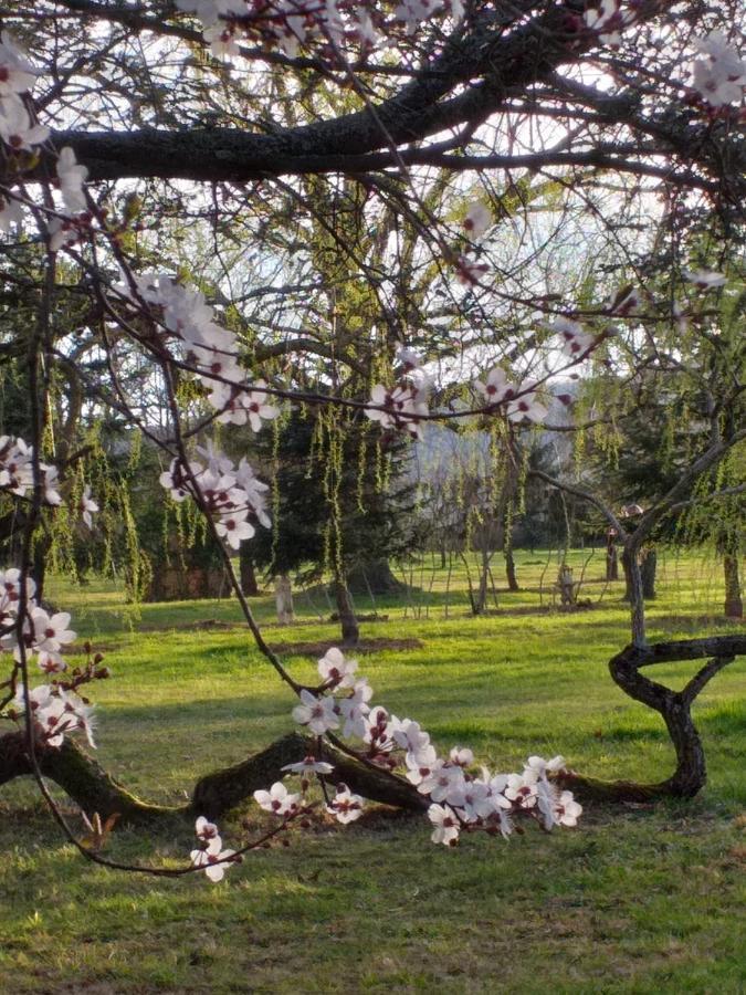Domaine Berenguer Acomodação com café da manhã Ouches Exterior foto