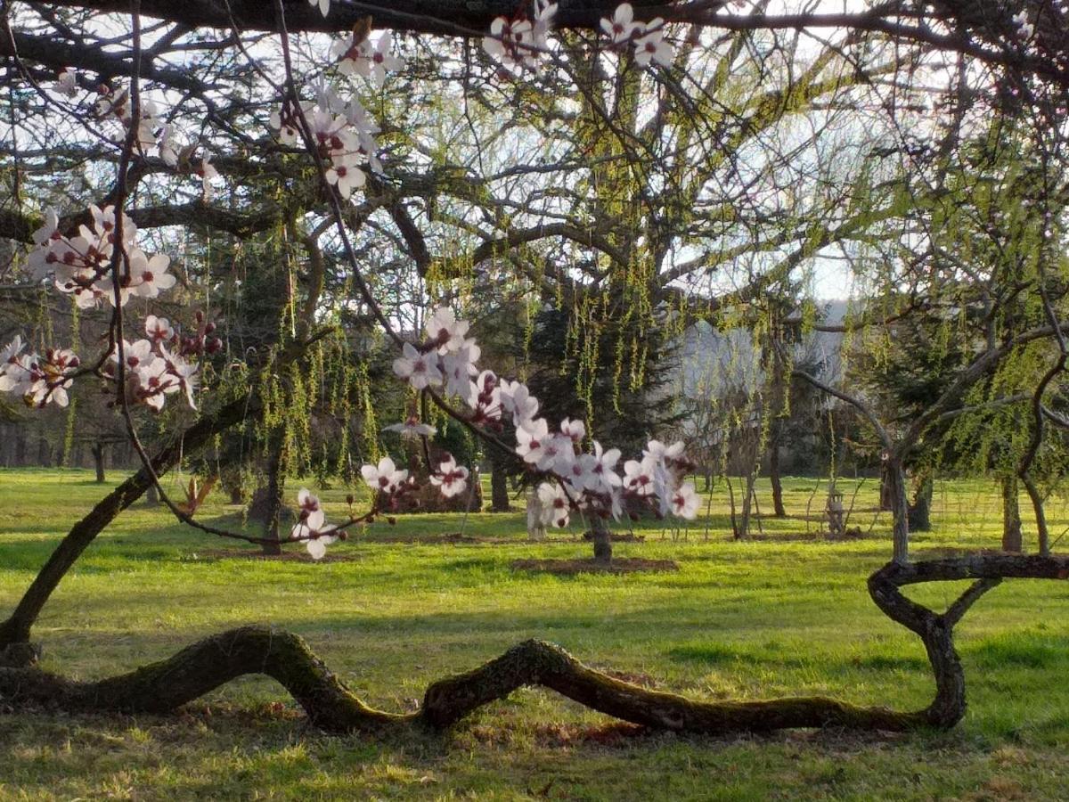 Domaine Berenguer Acomodação com café da manhã Ouches Exterior foto